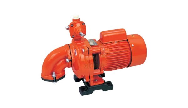Domestic Water Pump